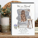 Recherche de newfoundland Dog