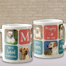Search for colourful dog mugs Photo collage