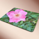 Recherche de parfum tapis souris Rose