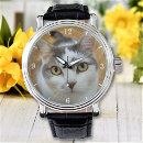 Search for dog watches pet