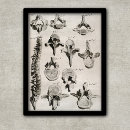 Search for chiropractor posters Vintage