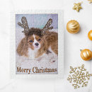 Search for cavalier king charles puzzles Animal