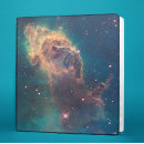 Search for stellar binders Nebula