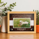 Search for pet memorial posters Dog