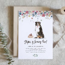 Search for bernese invitations Dog