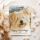 Search for woof christmas cards Fun
