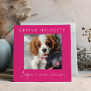 Search for naughty cats cards Modern
