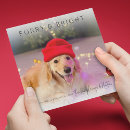 Search for furry christmas cards Modern