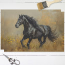 Search for black and gold tissue paper Wild