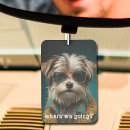 Search for cute car air fresheners Pet