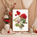 Recherche de géranium art Jardin
