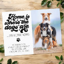 Search for funny moving announcement cards Dog lover