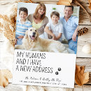 Search for dog photos postcards Pet