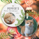 Search for pine ornaments Cute