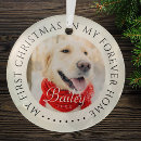 Search for my first photo ornaments Pet