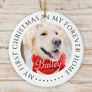 Search for my first photo ornaments Pet