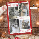 Search for kitty christmas cards Red white