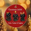 Search for funny cat ornaments Cute