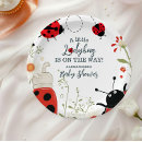 Search for ladybug plates Cute