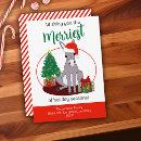 Search for funny donkey christmas cards Whimsical