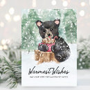 Search for bear cubs cards Watercolor