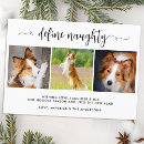 Search for define naughty cards Cat