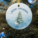 Search for arctic ornaments Penguin