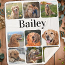 Recherche de memorial photo blankets Dogs