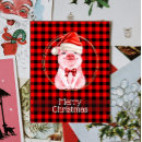 Search for funny pig christmas cards Animal