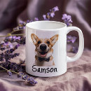 Recherche de chat et chien tasses Dog