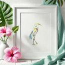 Recherche de oiseaux tropicaux posters Aquarelle