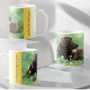 Recherche de chocolate labrador retriever tasses Extracteur