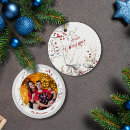 Search for red bird ornaments Botanical
