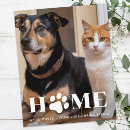 Recherche de drôles chien invitations Pour tous