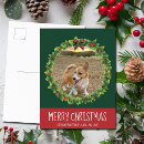Search for dog photo postcards Cute