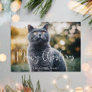 Search for cat puns holiday cards Elegant