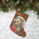 Search for dachshund christmas stockings Red