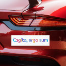 Recherche de summer voiture autocollants Pour tous