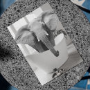 Search for bathroom postcards Tub