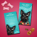 Search for trainer business stationery Dog walker