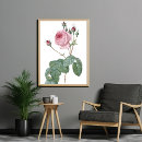 Search for redouté posters Victorian