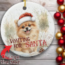 Search for pomeranian ornaments Watercolor