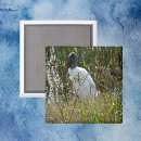 Recherche de cigogne magnets Nature