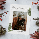 Search for winter foliage christmas cards Pine