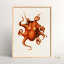 Recherche de océanographie posters Vie marine