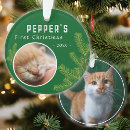 Search for cats first ornaments Kitten