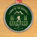 Search for redwood trees ornaments Nature