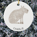 Search for capybara ornaments Wildlife