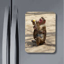 Search for monkey kids magnets Ape