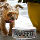 Search for distressed pet supplies Dogs